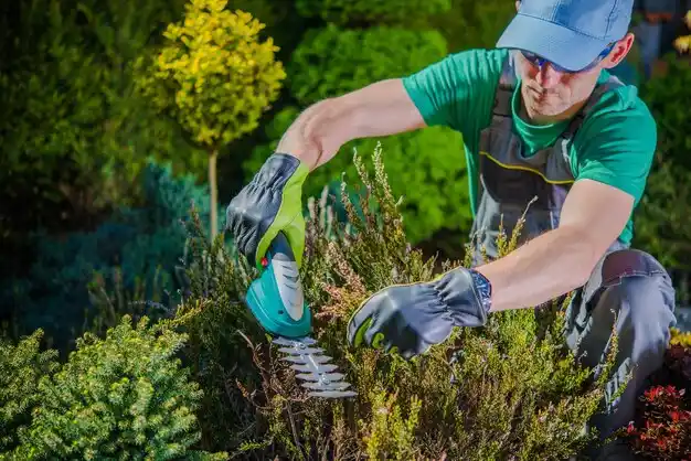 landscaping services West Sand Lake
